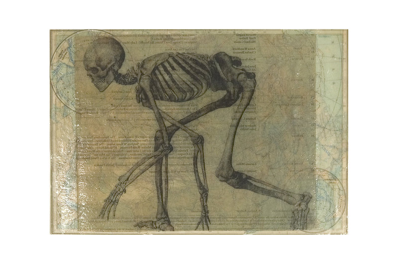 Atlante, 2005 - @ Livia Signorini