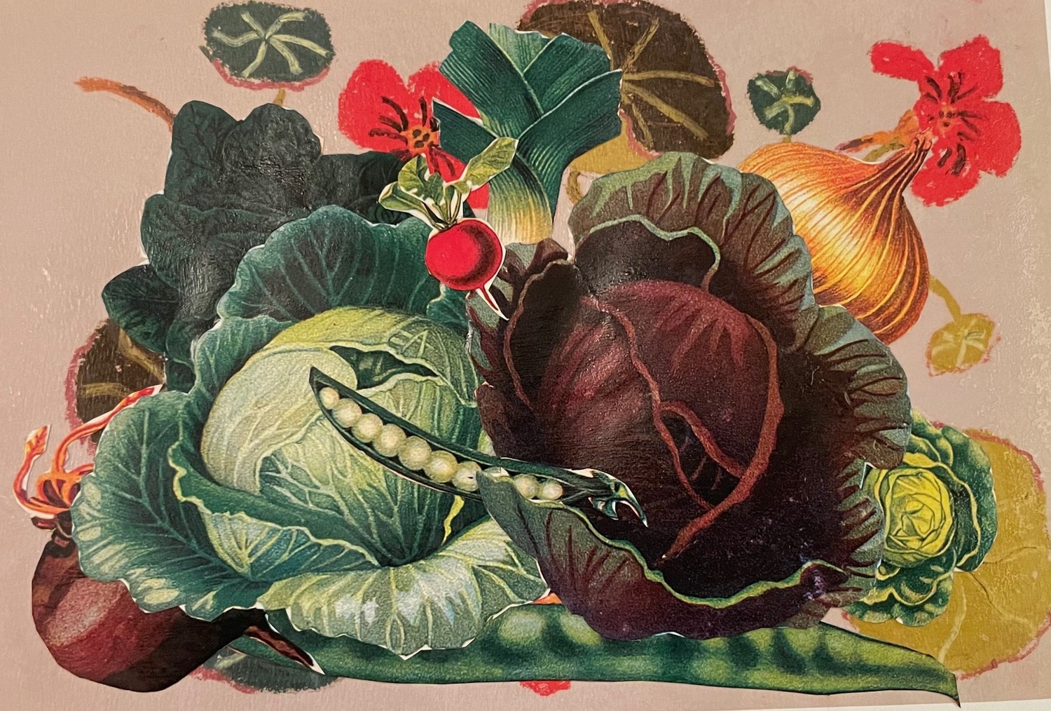 Orti, collage @ Livia Signorini
