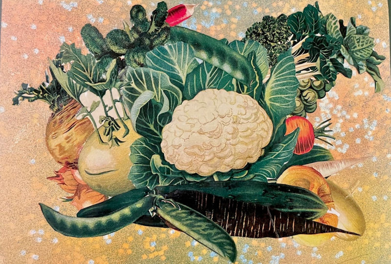 Orti, collage @ Livia Signorini